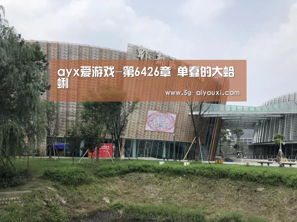 ayx体育