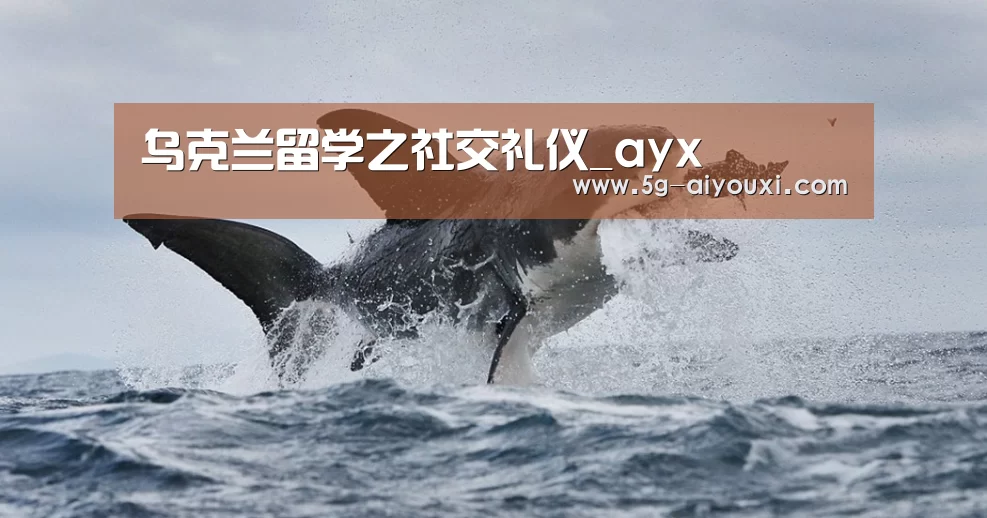 
乌克兰留学之社交礼仪_ayx(图5)